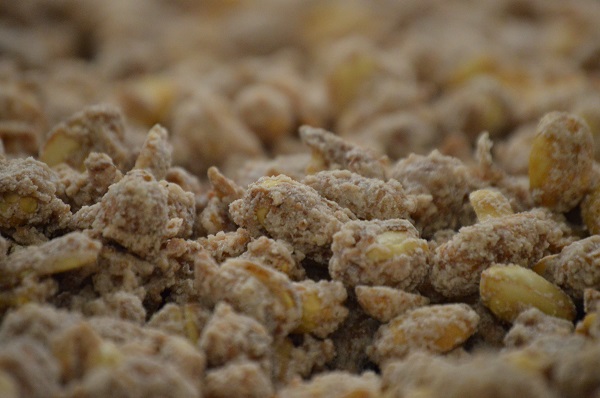 1 lb. box Maple Crispy Peanuts